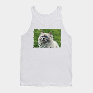 Persian Cat Blue Eyes Tank Top